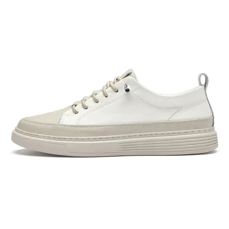 Men's Embossed Low-Top Trainers – Cushioned Casual Sneakers, 3 Colours